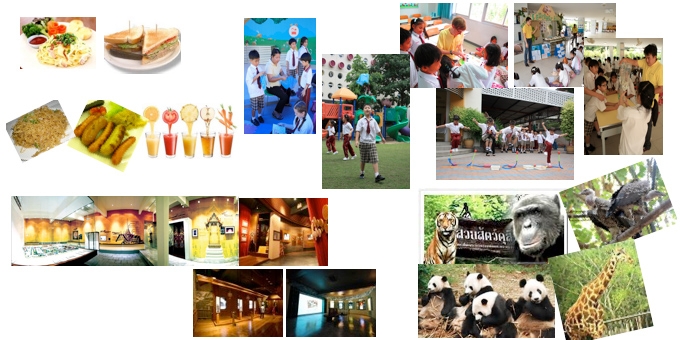 การจัดการเรียนและกิจกรรมเสริมของนักเรียนระดับประถมศึกษา ปี 2556